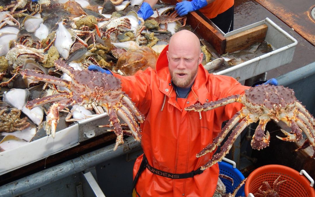 2009 Research/Review of Bristol Bay Red King Crab