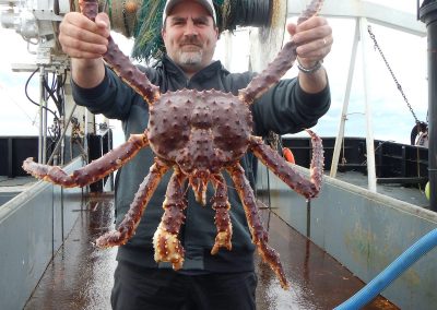 2012 Bristol Bay Red King Crab Inshore Survey