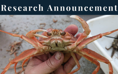 Research Announcement: Upcoming RFPs for 2026 Field Operations