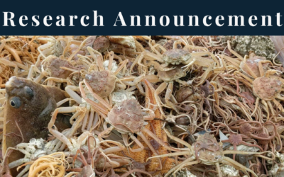 RFP for OPS1 Vessel Selection is NOW OPEN